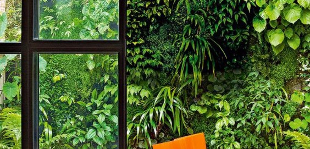 parete verde verticale muro esterno
